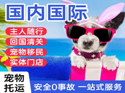 合肥新桥空运代理国际宠物托运 【国